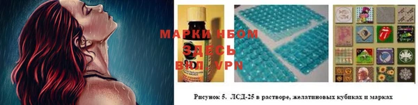 стаф Аркадак