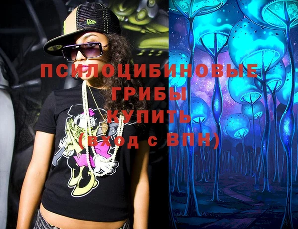 стаф Аркадак