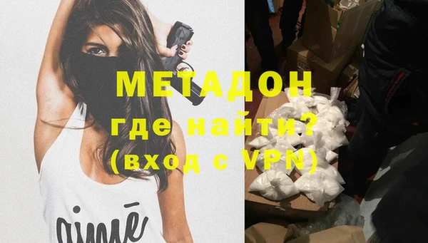 стаф Аркадак