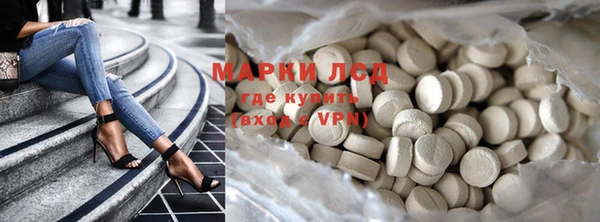 стаф Аркадак