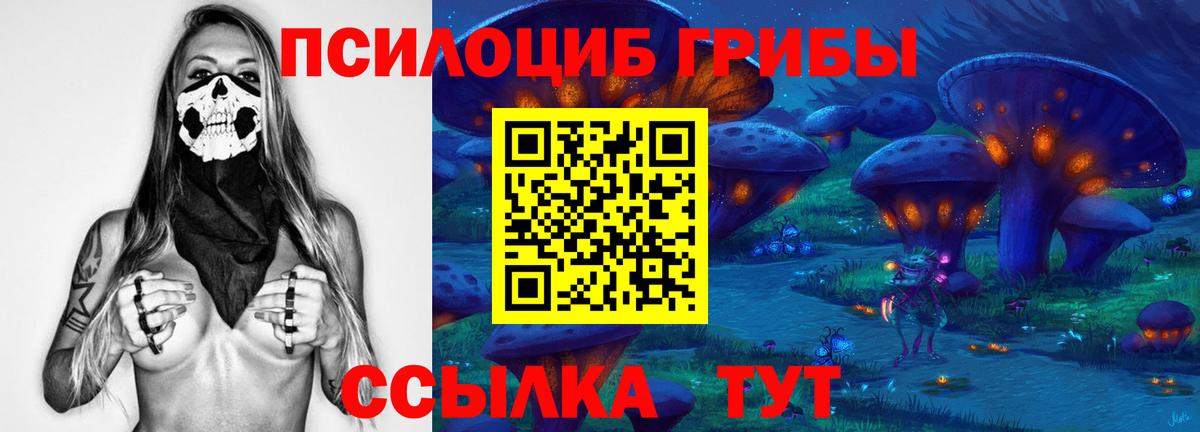 Галлюциногенные грибы MAGIC MUSHROOMS  Вход с VPN  Псилоцибиновые грибы ЛСД  Балтийск 